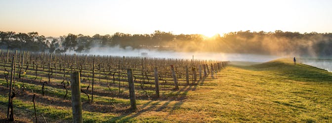 Hunter Valley food and wine experience